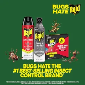 raid-wasp-hornet-spray