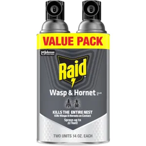 Raid Wasp & Hornet Spray - Tagatugisin ng Pusod at Bubuyog
