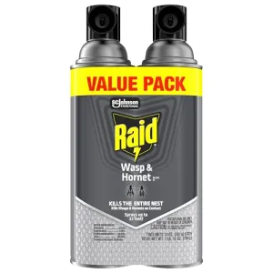 raid-wasp-hornet-spray