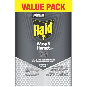raid-wasp-hornet-spray