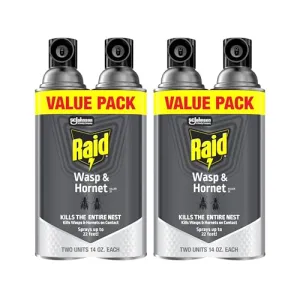 raid-wasp-hornet-spray