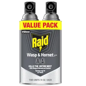 raid-wasp-hornet-spray