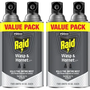 raid-wasp-hornet-spray
