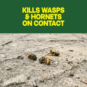 raid-wasp-hornet-spray