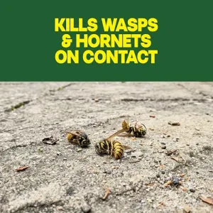 raid-wasp-hornet-spray