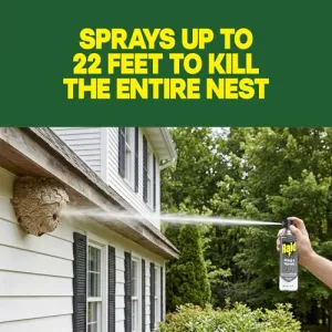 raid-wasp-hornet-spray