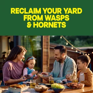 raid-wasp-hornet-spray