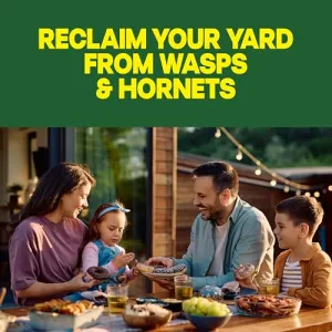 raid-wasp-hornet-spray