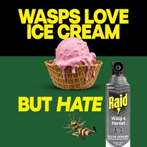 raid-wasp-hornet-spray