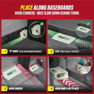 max-catch-glue-traps-36pk