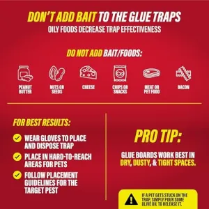 max-catch-glue-traps-36pk