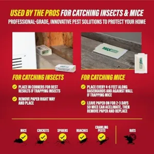 max-catch-glue-traps-36pk