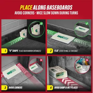 max-catch-glue-traps-36pk