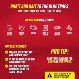 catchmaster-glue-traps-pack