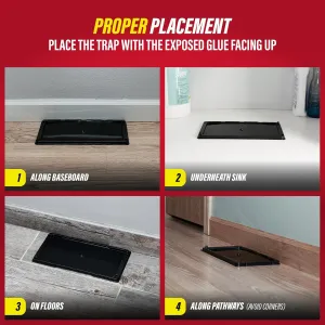 catchmaster-glue-traps-pack