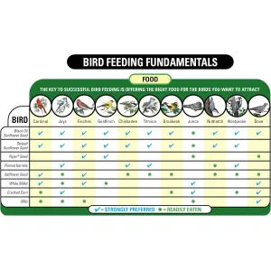 farmer-s-delight-bird-food