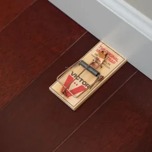 victor-12-pack-mouse-traps