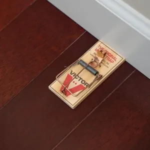 victor-12-pack-mouse-traps