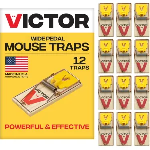victor-12-pack-mouse-traps