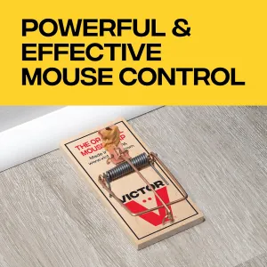 victor-12-pack-mouse-traps