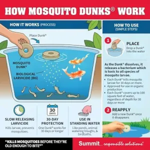mosquito-dunks-6-pack