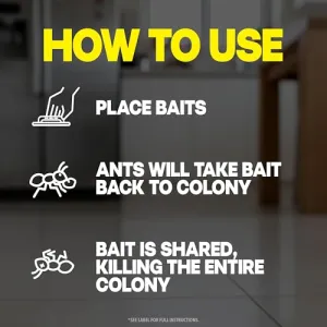 raid-ant-killer-baits