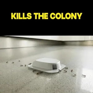 raid-ant-killer-baits