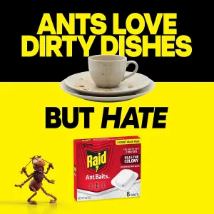 raid-ant-killer-baits