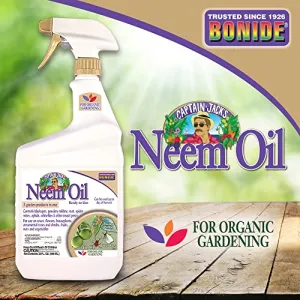 captain-jack-s-neem-oil