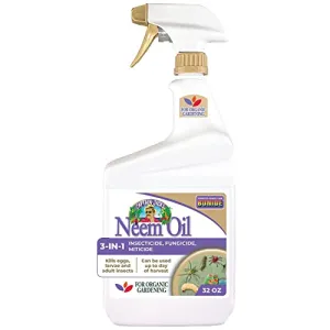 captain-jack-s-neem-oil