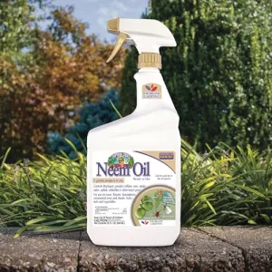 captain-jack-s-neem-oil