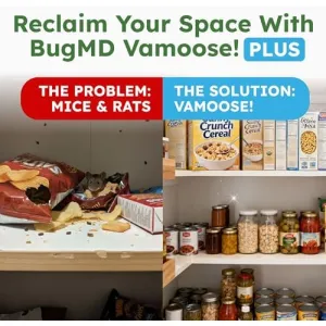 vamoose-peppermint-pouches