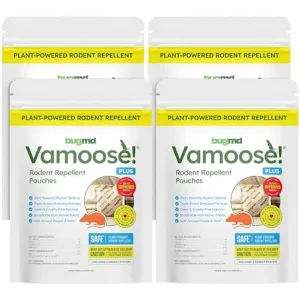 vamoose-peppermint-pouches
