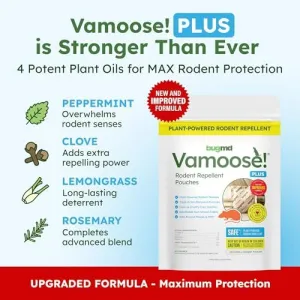 vamoose-peppermint-pouches