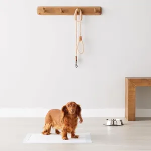 puppy-potty-training-pads