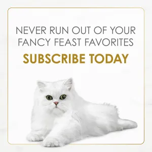 fancy-feast-gravy-lovers