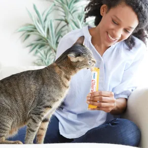 inaba-churu-cat-treats