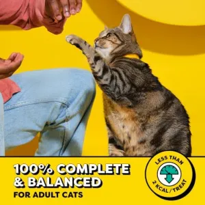 temptations-crunchy-chicken-treats