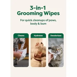 earth-rated-wipes-100ct