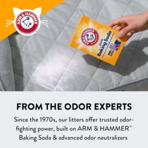 arm-hammer-cat-litter
