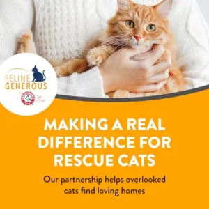 arm-hammer-cat-litter