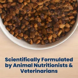 blue-buffalo-dry-dog-food