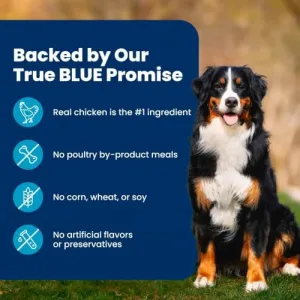 blue-buffalo-dry-dog-food