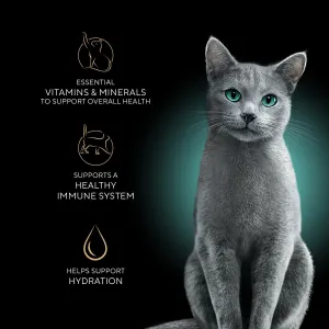 sheba-perfect-portions
