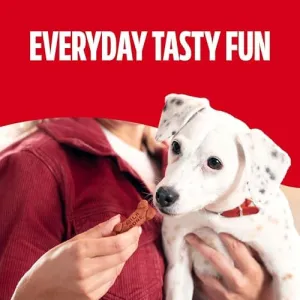 milk-bone-soft-chewy-treats