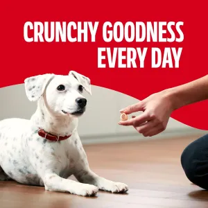 marosnacks-small-dog-treats