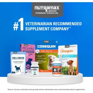 cosequin-dog-joint-chews