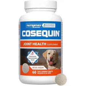cosequin-dog-joint-chews