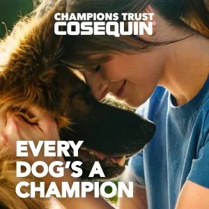 cosequin-dog-joint-chews