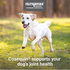 cosequin-dog-joint-chews
